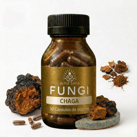 Chaga: Protección Sistémica y Resiliencia Total