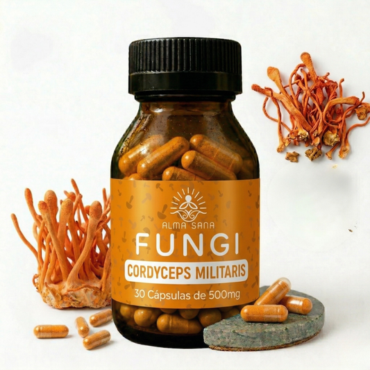 Capsulas Cordyceps - Vitalidad desde tus células