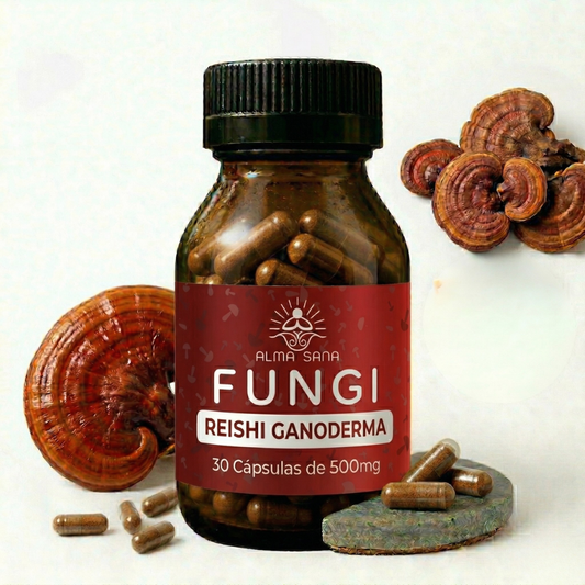 Reishi Ganoderma - Paz Biológica y Equilibrio Nocturno